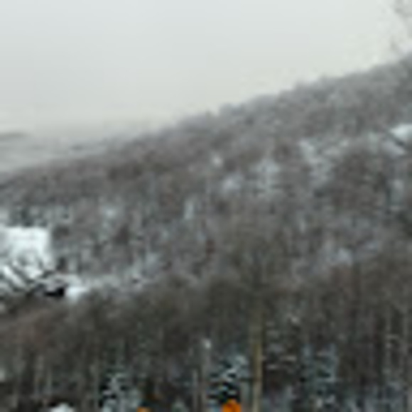 Meet your Posher, David - Picture 1 of 1